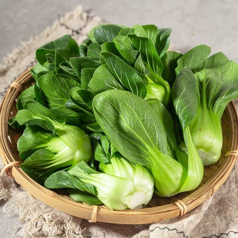 现摘上海青 矮脚菜 新鲜蔬菜