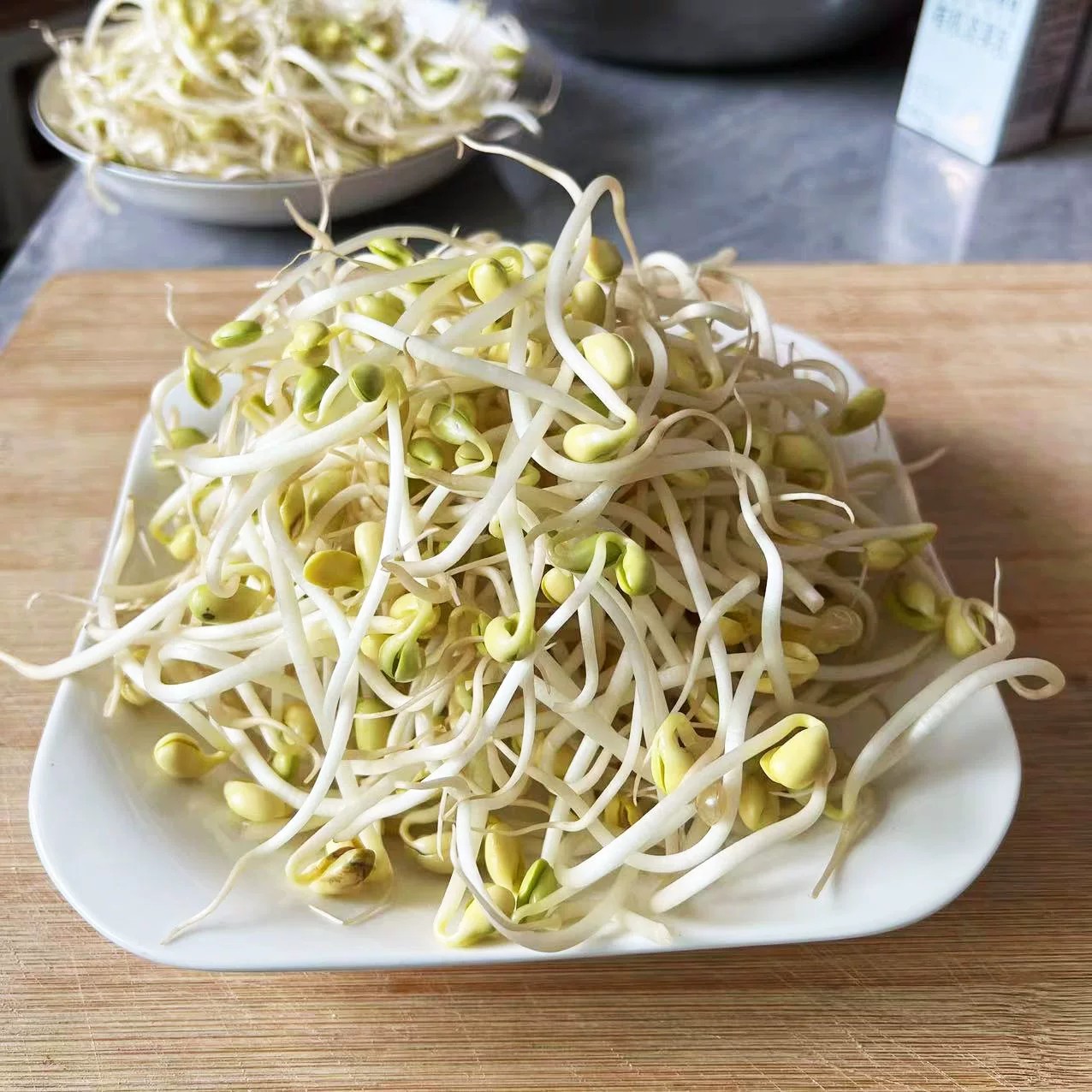 农家新鲜长黄豆芽 鲜豆芽菜 自家清水泡发芽菜 嫩豆芽新鲜发货1斤